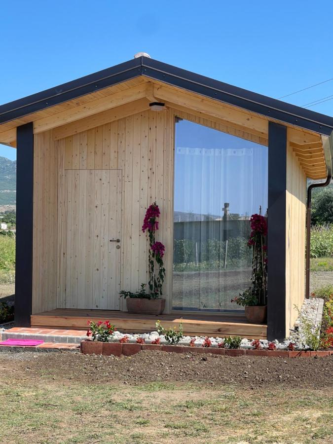 Fishte Fishta Guesthouse - Mrizi I Zanave מראה חיצוני תמונה