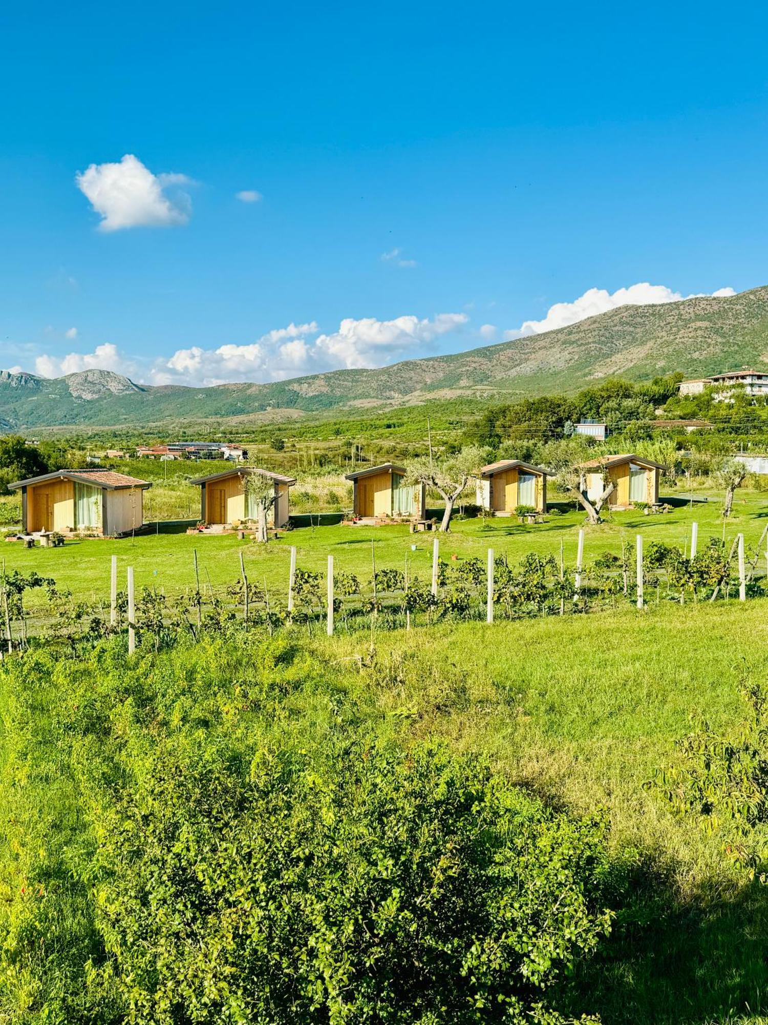 Fishte Fishta Guesthouse - Mrizi I Zanave מראה חיצוני תמונה